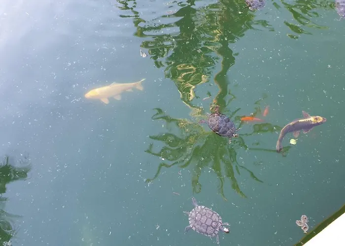 Lägenhet Golf Coast Alamos, Primera Linea De Playa