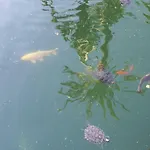 Apartman Golf Coast Alamos, Primera Linea De Playa