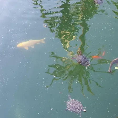 Appartement Golf Coast Alamos, Primera Linea De Playa