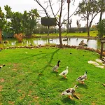 Golf Coast Alamos, Primera Linea De Playa 公寓 托雷莫利诺斯