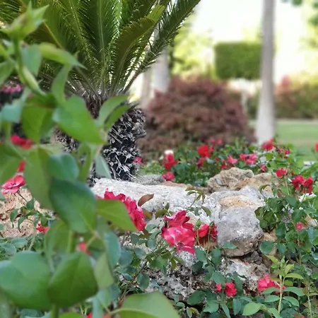 דירה Golf Coast Alamos, Primera Linea De Playa טורמולינוס