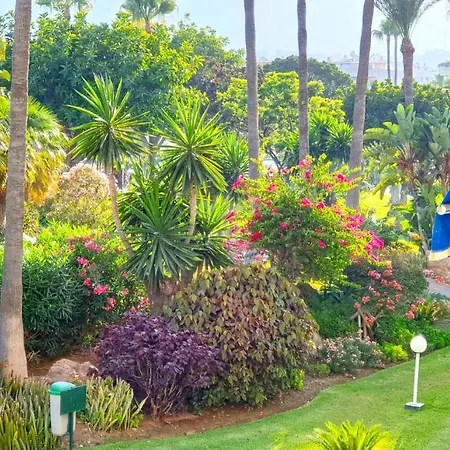 Golf Coast Alamos, Primera Linea De Playa Apartamento