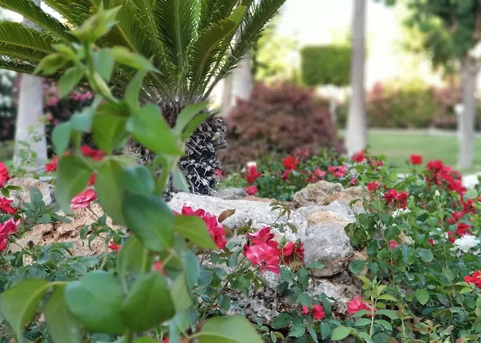 Apartment Golf Coast Alamos, Primera Linea De Playa Torremolinos